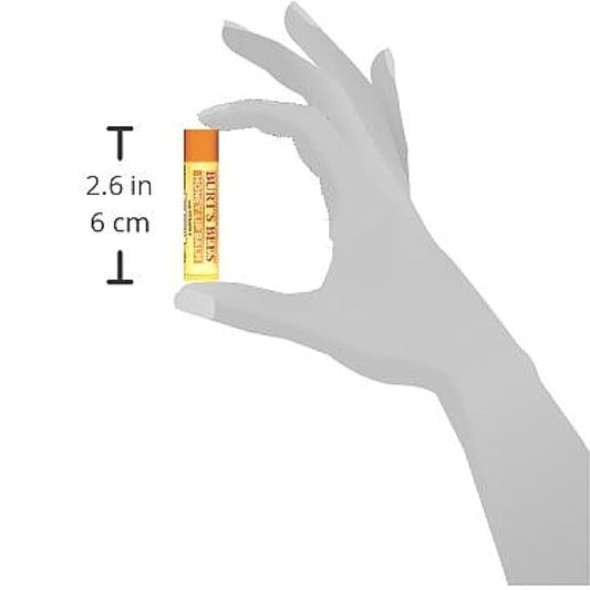 Burt's Bees Honey Moisturizing Lip Balm 0.15 oz (Pack of 12)