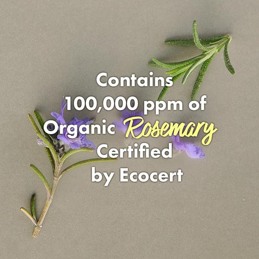 RATED GREEN Cold Brew Rosemary Balancing Scalp Pack w. Charcoal | Rosemary, Charcoal | Detoxifying and Deep Conditioning Care For Oily, Flaky Scalp | Silicone-Free, Korean Vegan Formula | 6.76 Fl. Oz