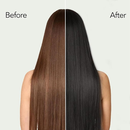 Black Hair Dye, Hair Dye Shampoo, Argan Oil Hair Dye for Men & Women, 3 in 1 Hair Dye Shampoo, Easy to Use, Shampoo Para Canas for Gray Hair Coverage 16.9 FlOz (Black)