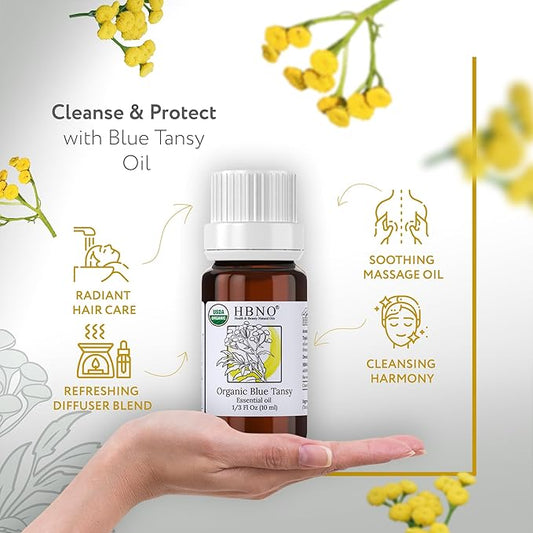 HBNO USDA Certified Organic Blue Tansy Essential Oil - 1/3 OZ (10 ml) Travel Size - Perfect for Aromatherapy, DIY, Candle Making, Soap Making, Diffusers - Blue Tansy Essential Oils
