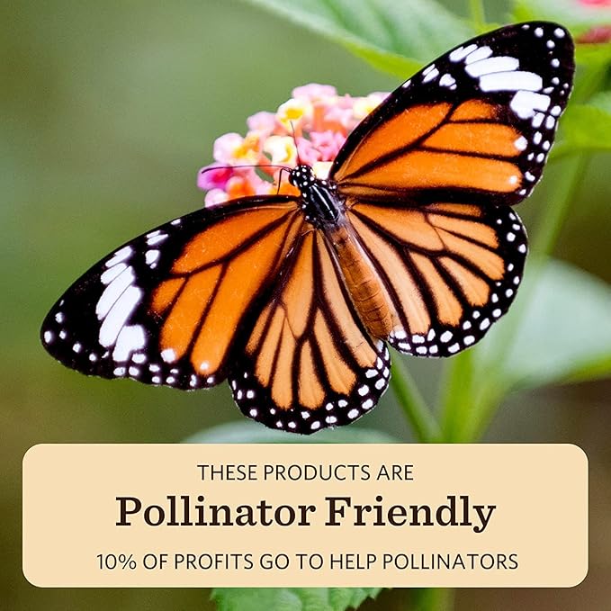 Moon Valley Organics Beeswax Lip Balm for Moisturizing Lips and Cuticles (SWEET HONEY, 1-Pack)