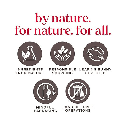 Burt's Bees Hive Favorites Beeswax Holiday Gift Set, Beeswax Lip Balm and Travel Size Body Lotion with Milk and Honey