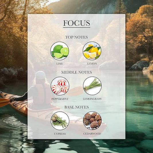 Aromatherapy Collection (20ML) (Focus)