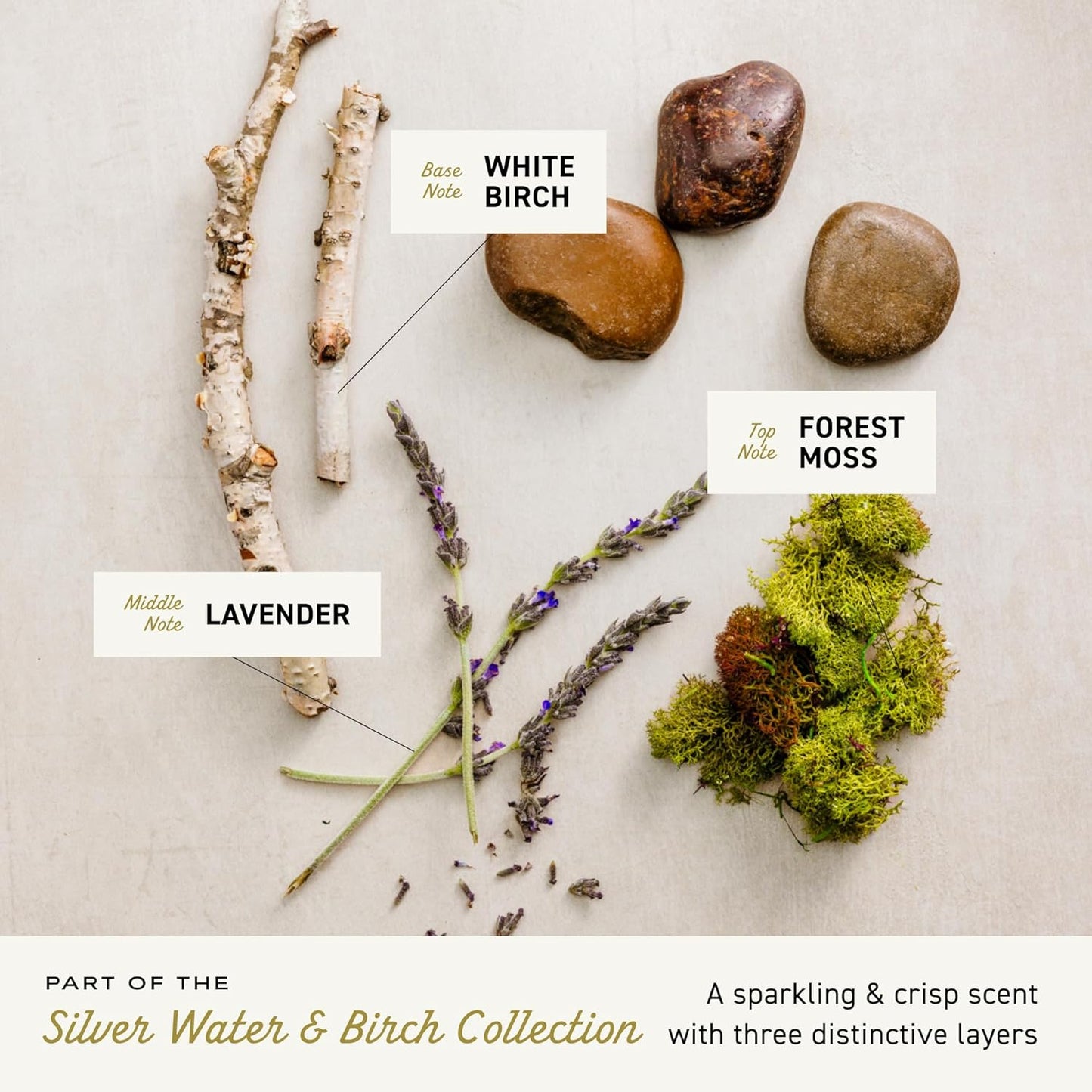 Cremo Silver Water & Birch Shave Cream, Astonishingly Superior Ultra-Slick Shaving Cream for Men, Fights Nicks, Cuts and Razor Burn, 6 Fl Oz