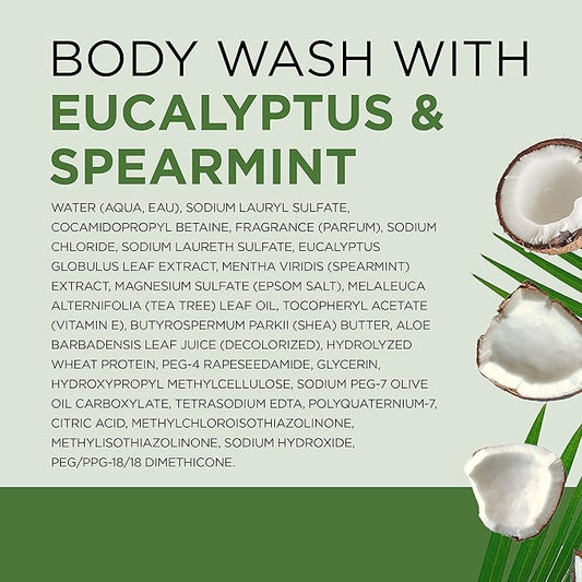 Dr Teal's Body Wash with Pure Epsom Salt, Relax & Relief with Eucalyptus & Spearmint, 24 fl oz (Pack of 4) (Packaging May Vary)