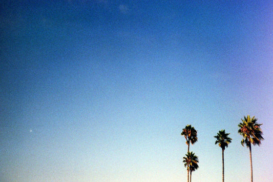 How to Transition Your Skincare Routine for Every Season