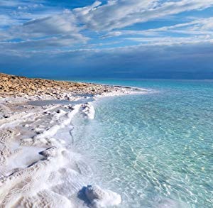 Natural Elephant Dead Sea Bath Salt |19 Pounds Bulk Bag | 100% Natural and Pure| Fine Grain | Perfect for Bathing and Soothing Soaks