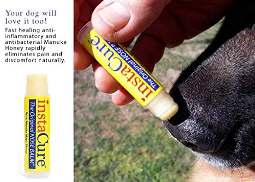 Original Nose Balm, Advanced Snail 96 Mucin Power Essence (3.38 fl oz) Bundle with 4 x Silicone Facial Cleansing Brushes & Matching Gift Box