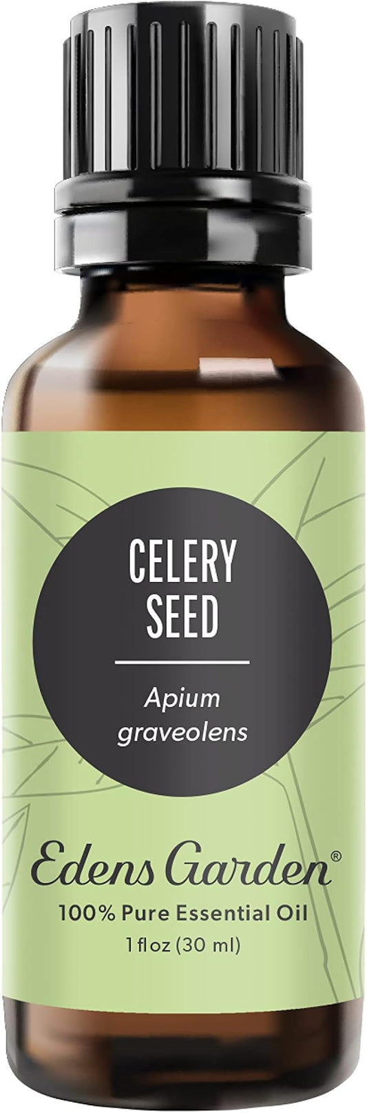 Edens Garden Celery Seed Essential Oil- 100% Pure Premium Grade, Undiluted, Natural, Therapeutic, Aromatherapy, The Best for Diffuser, Skin, Candle, Laundry 30 ml (1 fl oz)