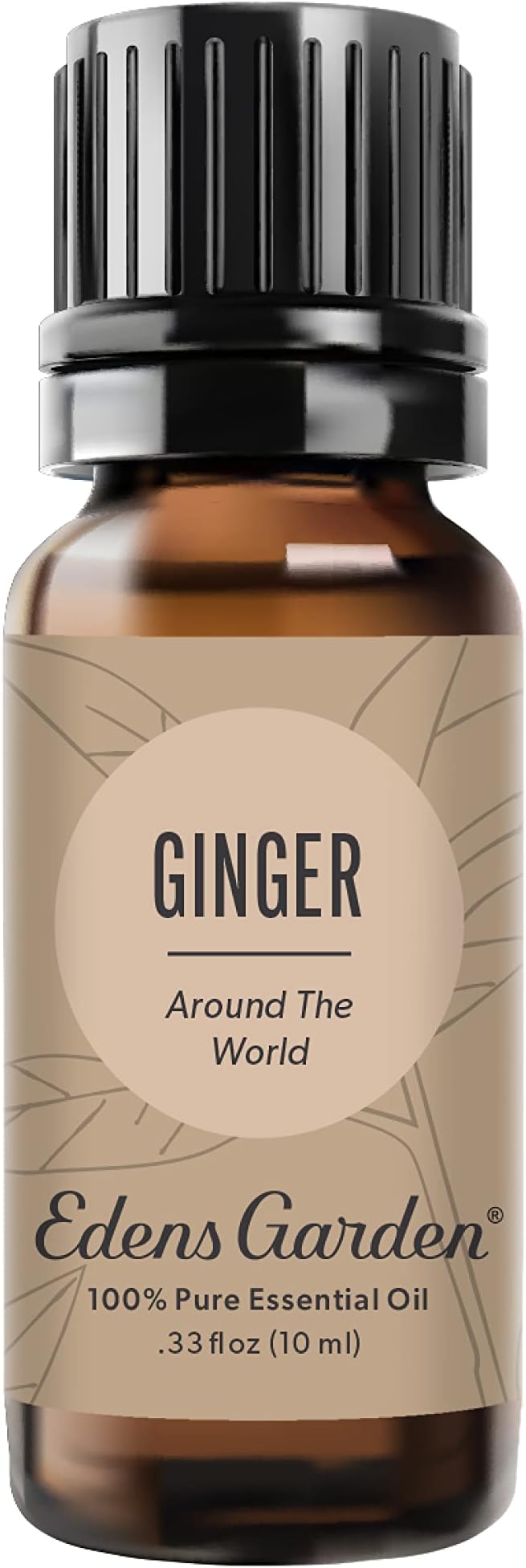 Edens Garden Ginger Around The World Essential Oil- 100% Pure Premium Grade, Undiluted, Natural, Therapeutic, Aromatherapy, The Best for Diffuser, Skin, Candle, Laundry 10 ml (.33 fl oz)