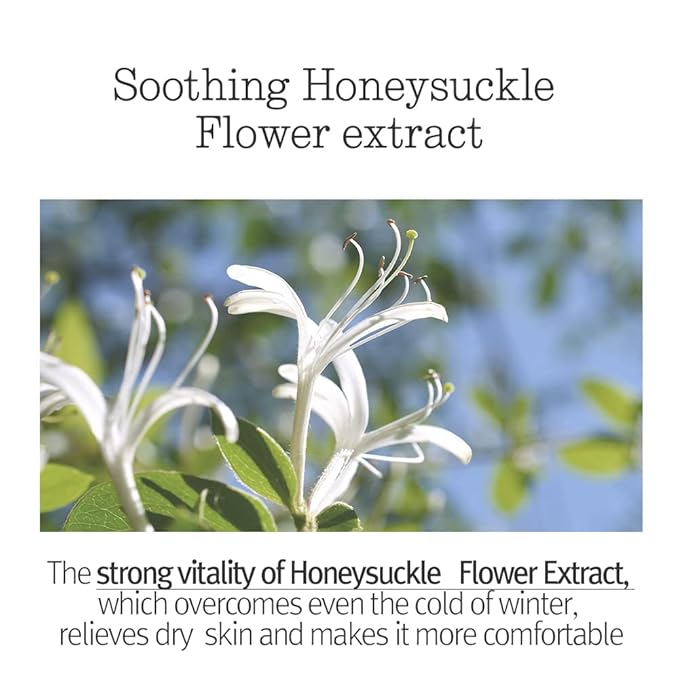 Pyunkang Yul PKY Sleeping Mask for Creating Moisture Barrier during Night, Ceramide and Hyaluronic Acid for Skin Hydration, Zero Irritation, Korean Skincare (4.05 Fl. Oz, 120ml)