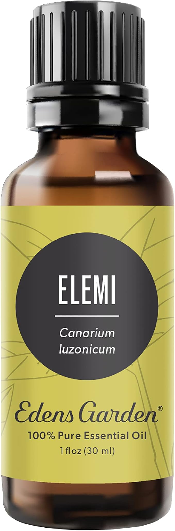 Edens Garden Elemi Essential Oil- 100% Pure Premium Grade, Undiluted, Natural, Therapeutic, Aromatherapy, The Best for Diffuser, Skin, Face, Hair 30 ml (1 fl oz)