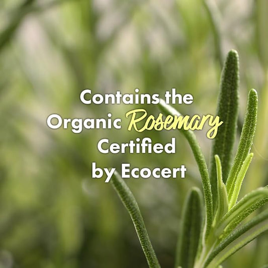 RATED GREEN Real Mary Cold Brew Rosemary Purifying Scalp Scaler with Sea Salt | Korean Deep Cleanse for Dry, Itchy, Flaky Scalp | Hypoallergenic Hair Care for Oily Scalp & Dandruff, 6.76 fl oz