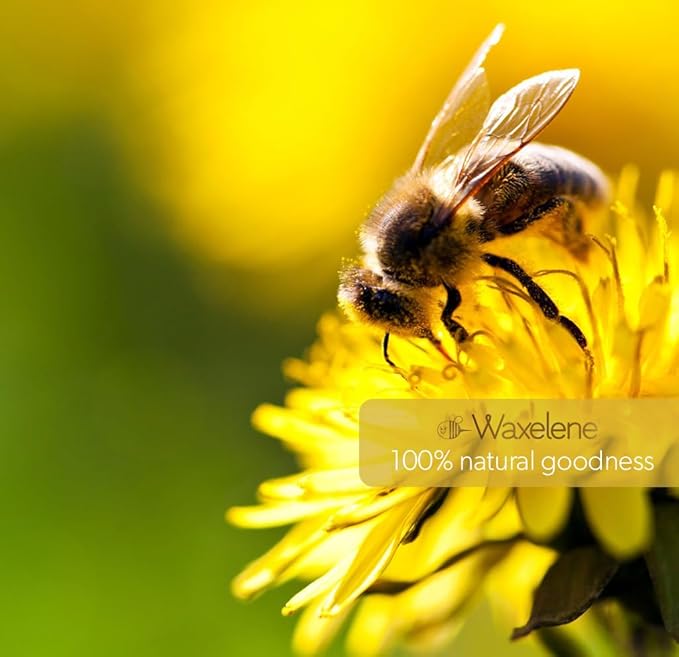 Waxelene Lavender Aerated Lip Balm Tin 4 Piece, Best Lip Balm Ever Organic Calming Multipurpose Ointment Baby Eczema Dry Skin Face Moisturizer
