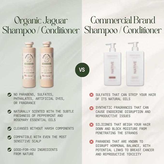 Natural Shampoo for Hair Care, Sulfate Free Shampoo with Castor Oil, Jasmine, Glycerin, Aloe Vera & Mild Thickening Agent, Dry to Color Treated to All Hair, 13.5 fl oz