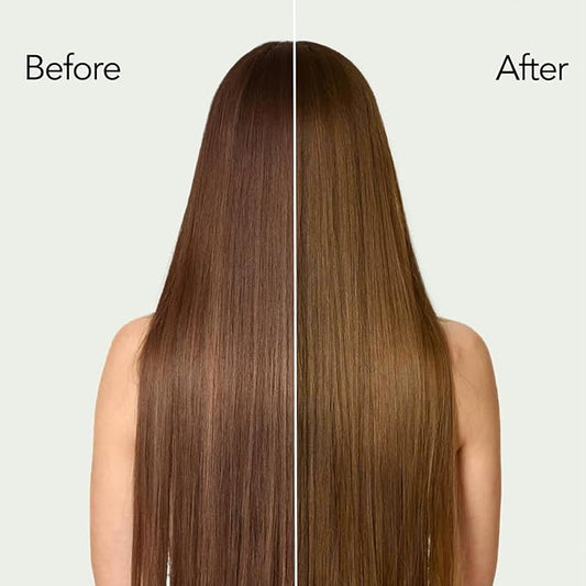 Chestnut Brown Hair Dye Shampoo with Argan Oil for Men & Women, 3 in 1 Semi-Permanent Formula, 16.9 Fl oz - Easy to Use, Covers Gray Hair