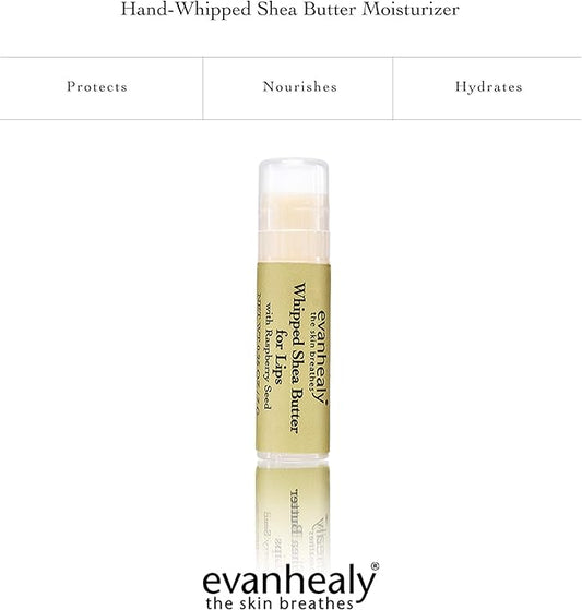 evanhealy Whipped Shea Butter for Lips | Organic Red Raspberry Seed Oil, Beeswax, & Argan Oil | Moisturizing Lip Balm (3 Pack)