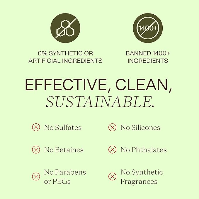 Detangler and Leave In Conditioner made with Organic ingredients - Sulfate-Free, Color-Safe, Silicone-Free, Cruelty-Free, Gluten Free (9.6 FL OZ)