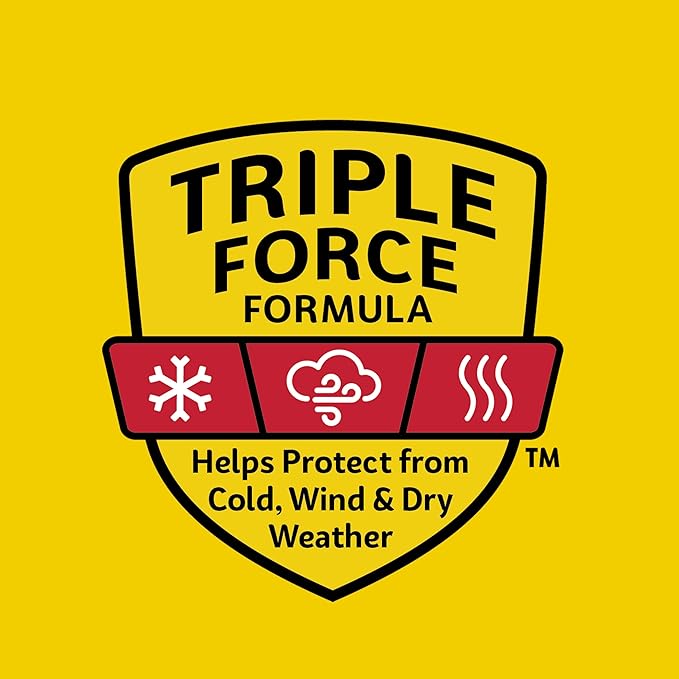 Carmex Medicated Lip Balm Jar, Lip Moisturizer for Dry, Chapped Lips, 0.25 OZ - (5 Packs of 3)