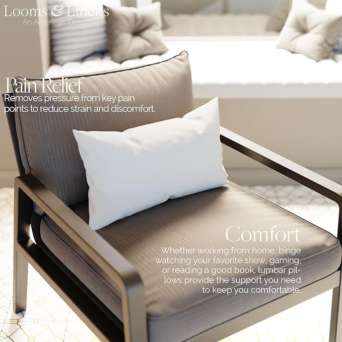 14x22 inch Pillow Form by Looms and Linens with Down Alternative Sham Pillow - USA Made Lumbar Pillow Pack of 1