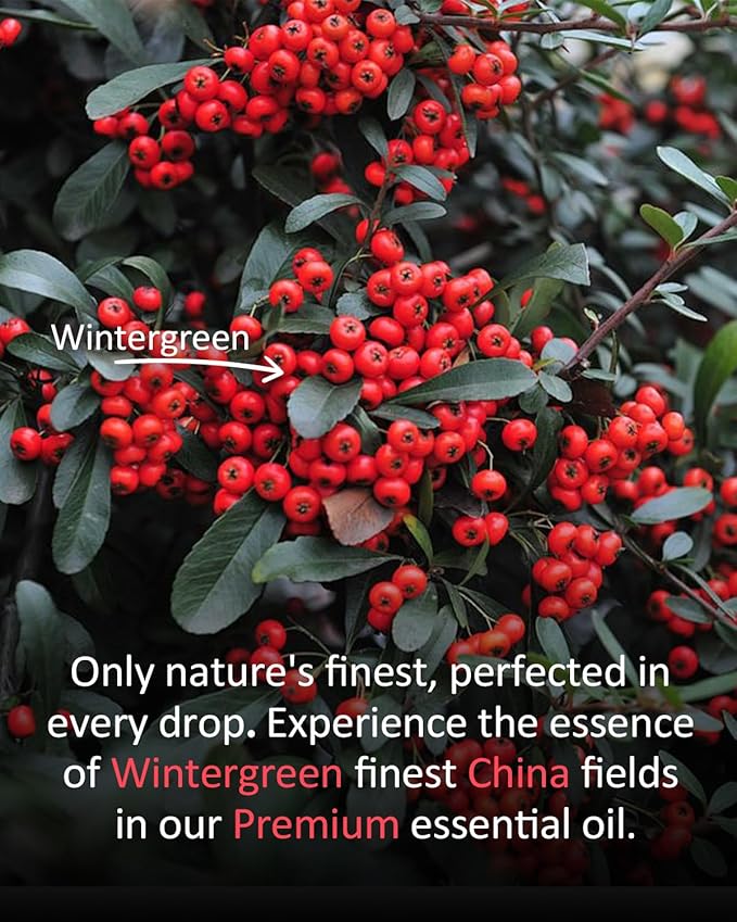 Pure Wintergreen Essential Oil, 100% Pure Natural Wintergreen Essential Oil, Premium Grade Essential Oils for Diffusers for Home, Skin, Care Massage, Soap Make, Aromatherapy, 4 Fl Oz | 120ml