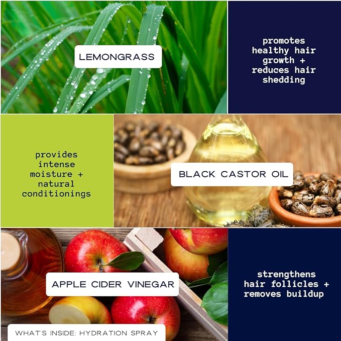 YOUNG KING HAIR CARE Daily Hydration Spray for Locs, Dreads, Braids, and Twists | Lemongrass and Black Castor Oil | Scalp Moisturizer, Dreadlock Spray - Natural Loc, Dreads Care and Maintenance (8oz)