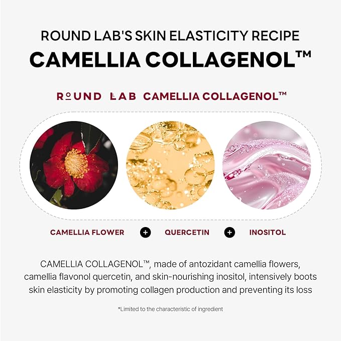 ROUND LAB Camellia Deep Collagen V Lifting Gel Mask 4EA | Double-chin Mask, Instant Cooling & Depuffing, Face Toning Belt, Collagen V-line, Improves Sagging Skin, Lifting & Firming 10g/0.35oz