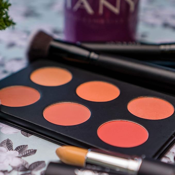 SHANY Shimmer & Matte Warm-Toned Blush Palette - Layer 6 - Refill for the 6 Layer Mini Masterpiece Collection Makeup Set
