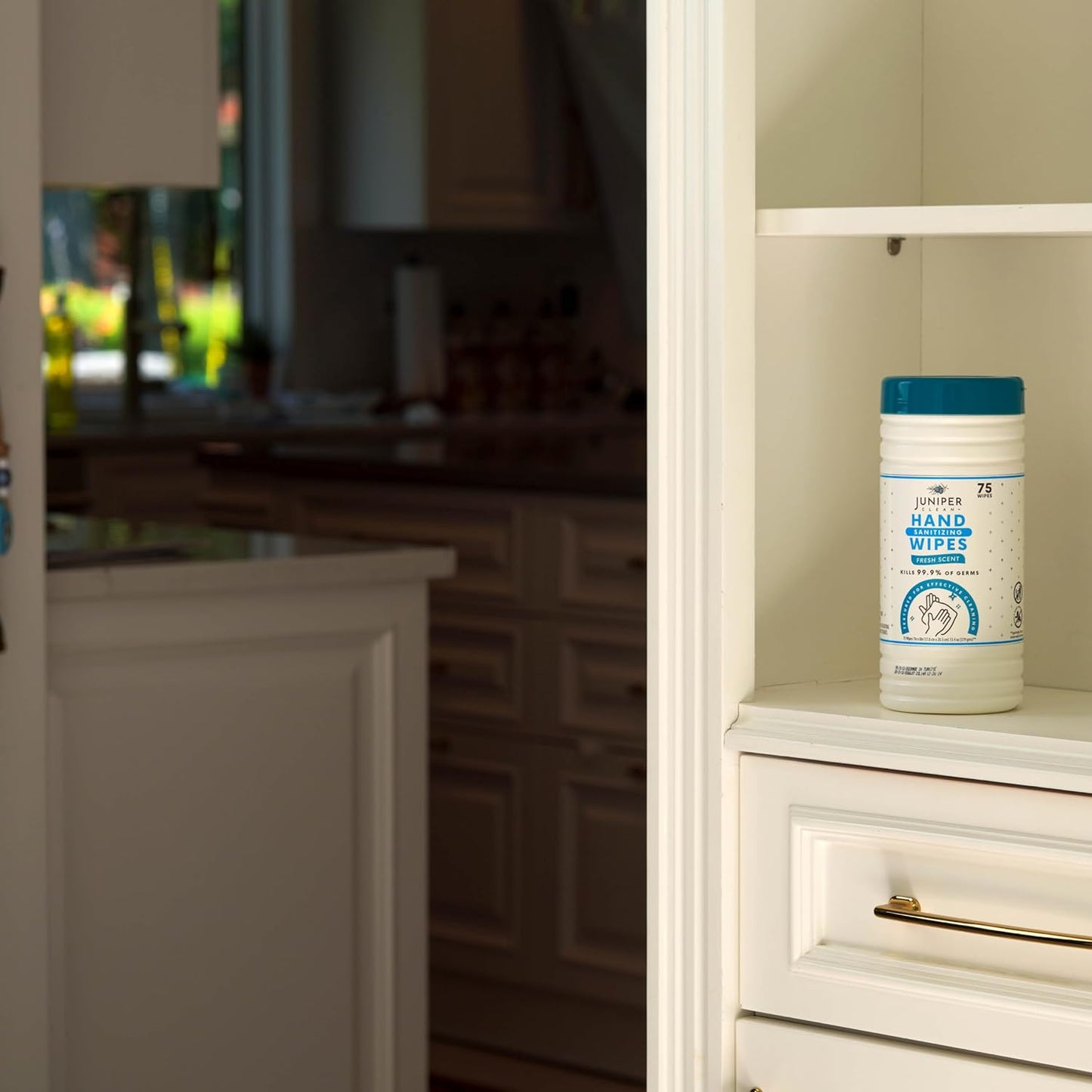 6 Pack Canister Hand Sanitizing Wipes, Alcohol Free 450 Count Canister Disposable Hand Sanitizer Wipes, Fresh Scent, Lint Free & Durable