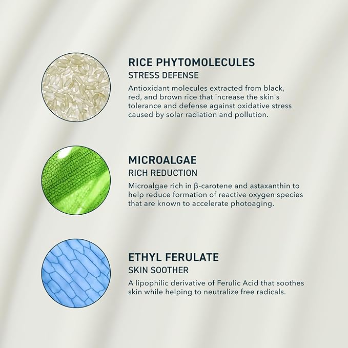 Skin Solar Shade - Moisturizing Face Sunscreen SPF 46 PA++++ Broad Spectrum UV Protection. Hydrating Sunblock for Dry Skin. Lightweight Travel Size Sun Protection, 1.7oz