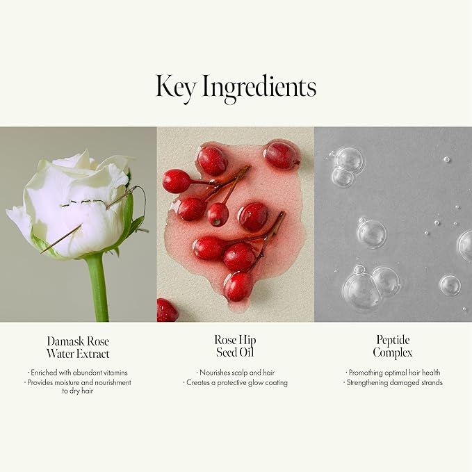 Rosy Night Repair Shampoo – Anti-Dandruff & Damage Repair with Damask Rose Water & Ceramide – Color Safe, Silicone & Sulfate Free (15.22 fl. Oz)