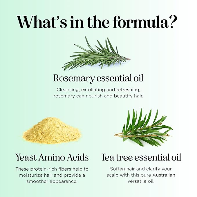 Shampoo and Conditioner for Oily Hair and Scalp - Sulfate and Paraben Free Shampoo and Conditioner Set for Oily Hair Care with Deep Cleansing Tea Tree Oil - Color Safe & Cruelty Free (8 Fl Oz)