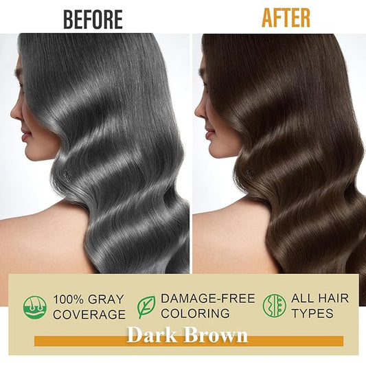 Dark Brown Hair Dye Shampoo for Gray Hair, Natural Color Shampoo Hair Dye for Women & Men, Hair Instant Dye Shampoo Colors Hair in Minutes, Champu Para Canas, 3-in-1 Shampoo for Dyeing Gray, 500 Ml
