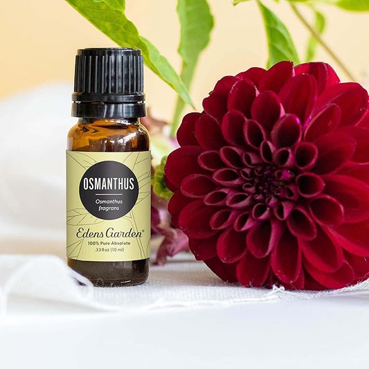 Edens Garden Osmanthus Essential Oil- 100% Pure Premium Grade, Undiluted, Natural, Therapeutic, Aromatherapy, The Best for Diffuser, Skin, Face, Hair 10 ml (.33 fl oz)