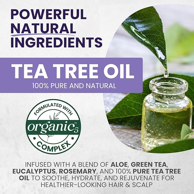 Tea Tree Purple Shampoo & Conditioner Set for Blonde, Bleached, Silver & Grey Hair, Anti-Brass Toner, Boosts Highlights & Color, Revitalizes, Relieves Itchy Scalp & Salon-Grade Hair Toner.