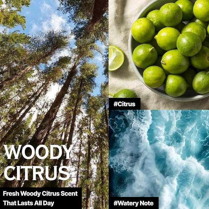 [Forbeaut] Mist Hair Essence – Lightweight Leave-In Treatment Spray for Damaged Hair, Daily Use, Silky Protein Care for Shine & Elasticity, Salon-Like Finish, Woody Citrus Scent, 100ml / 3.7 fl.oz