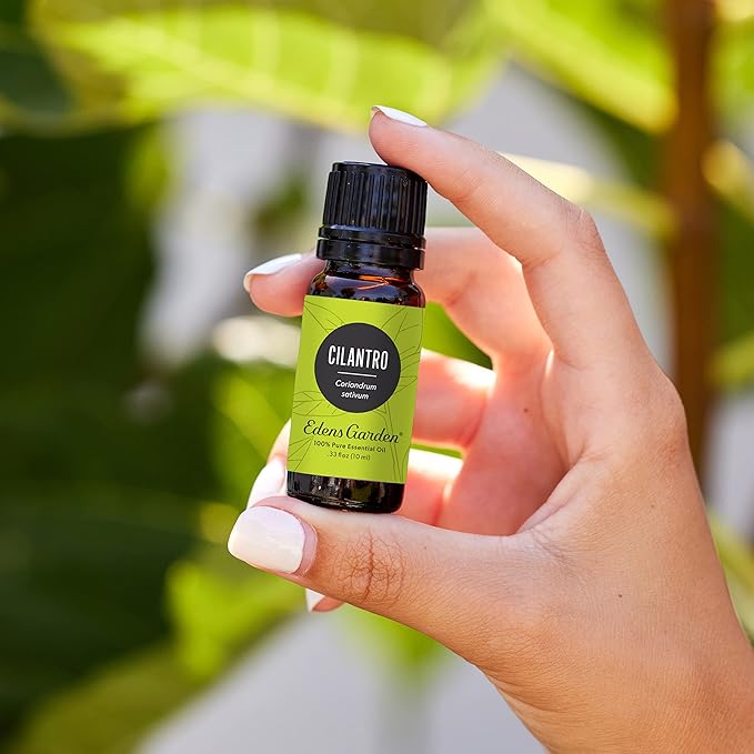 Edens Garden Cilantro Essential Oil- 100% Pure Premium Grade, Undiluted, Natural, Therapeutic, Aromatherapy, The Best for Diffuser, Candle, Laundry, Kid Safe 10 ml (.33 fl oz)