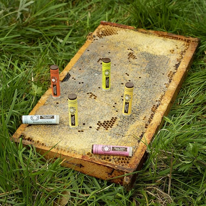 Moon Valley Organics Beeswax Lip Balm for Moisturizing Lips and Cuticles (ZINGY CINNAMON, 1-Pack)