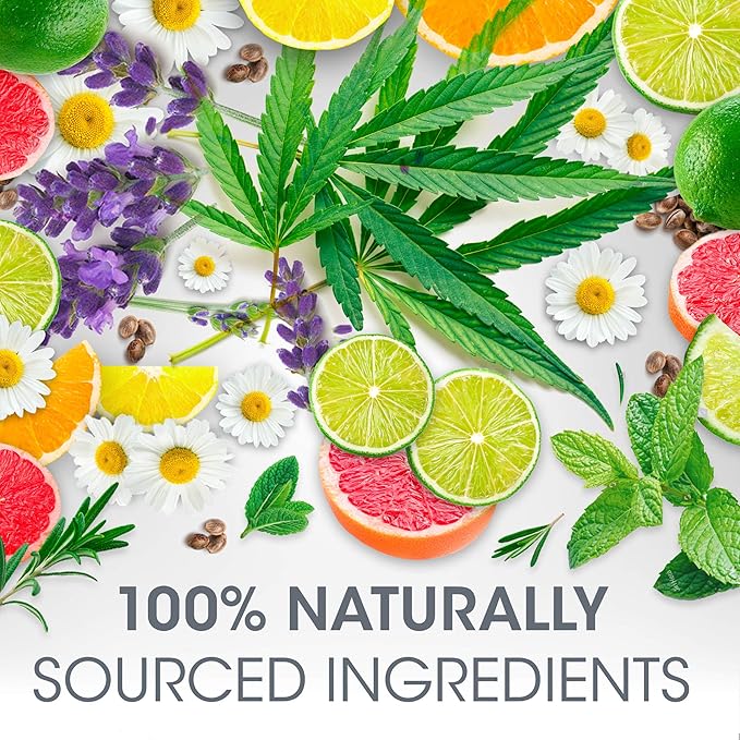 ChapStick Total Hydration Essential Oils Happy Orange And Lemon Lip Balm Tube, Lip Care - 0.12 Oz