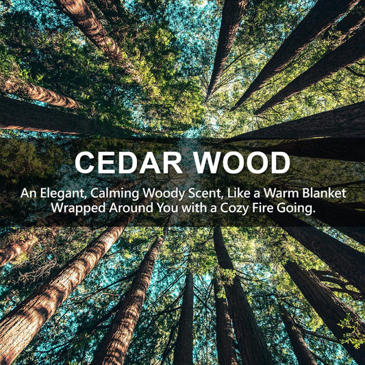 Large 12 Packs Cedar Wood Hanging Closet Deodorizer Air Freshener Long Lasting Scented Sachets Smell Goods for House